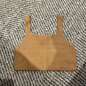 Everlane Wool Knit Crop